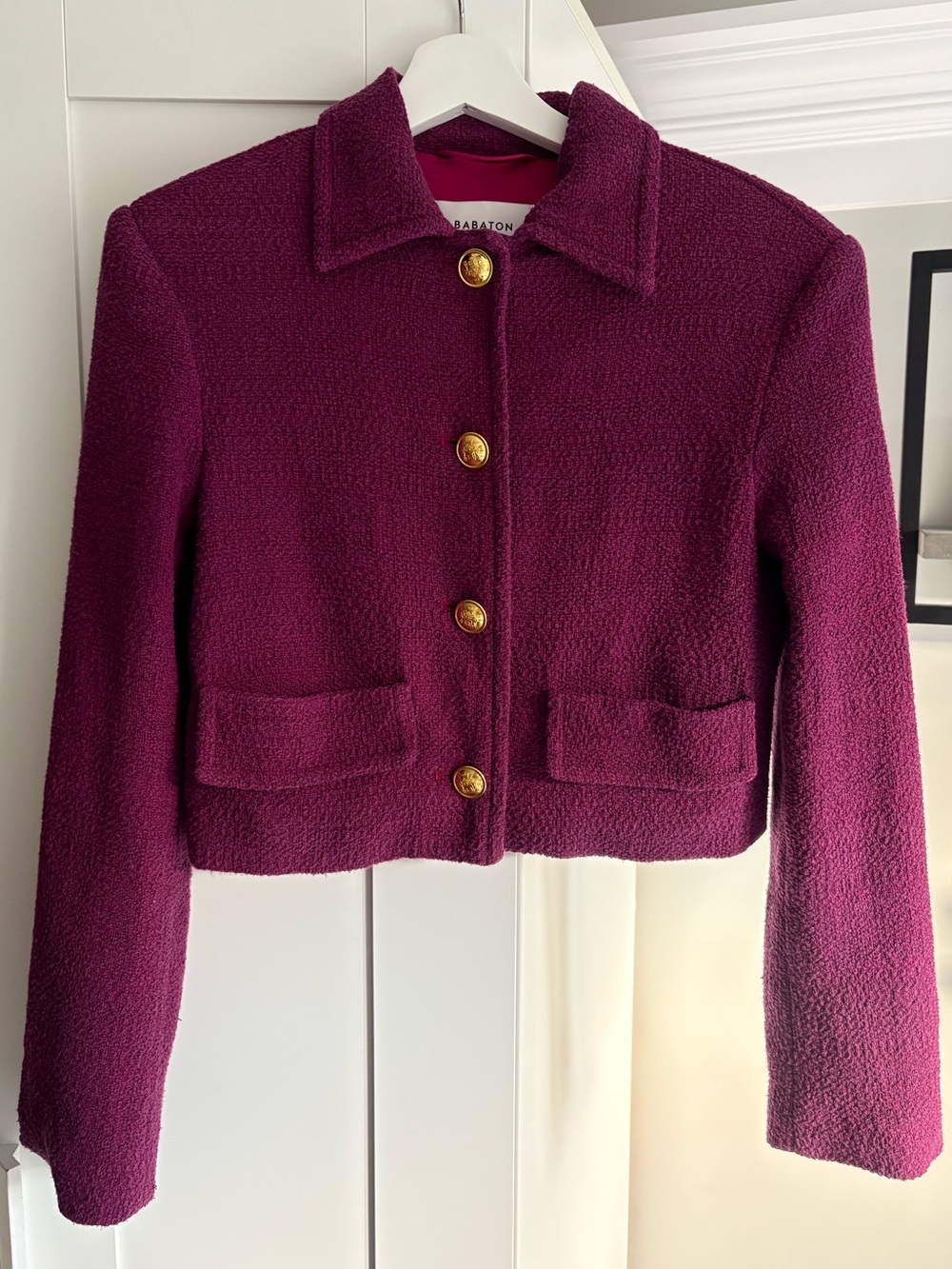 Aritzia Babaton Frances Jacket in Elixir Purple